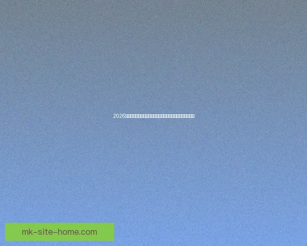 2026世界杯竞猜官网最新资讯，全面分析赛事预测与热门球队动态